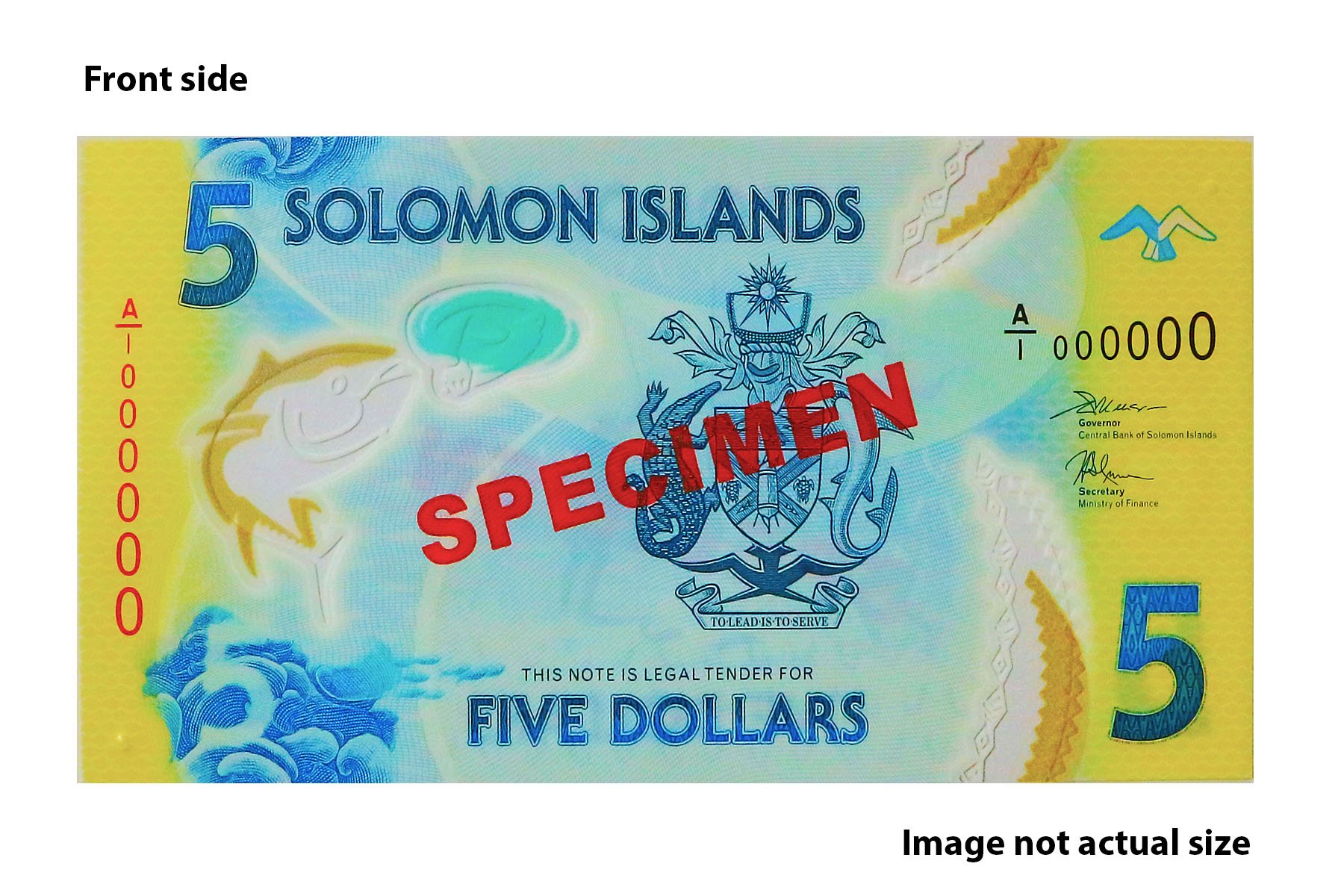 New $5 Polymer Note - Front 