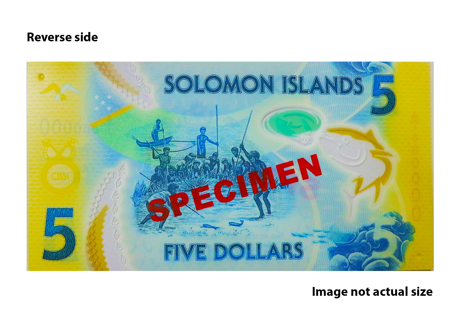 New $5 Polymer note - Reverse 